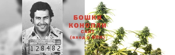 ГАЛЛЮЦИНОГЕННЫЕ ГРИБЫ Алексеевка
