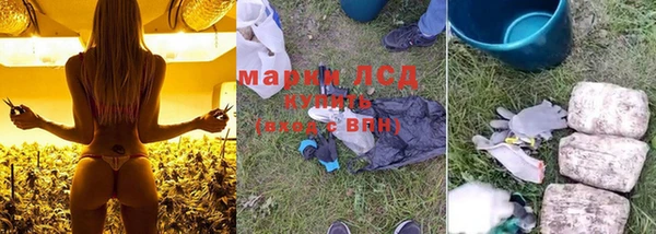 ГАЛЛЮЦИНОГЕННЫЕ ГРИБЫ Алексеевка