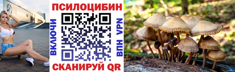 Галлюциногенные грибы Cubensis  Елизаветинская 